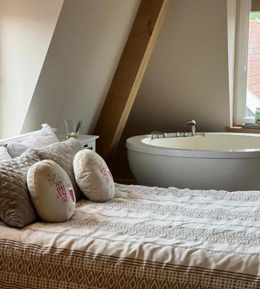 Luxury Spa with Sauna, Bath and Cinema Private