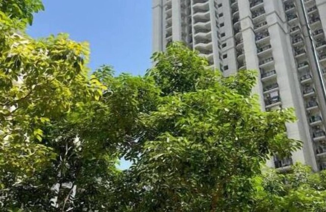 Luxury Studio Apt in Dlf Capital Greens West Delhi