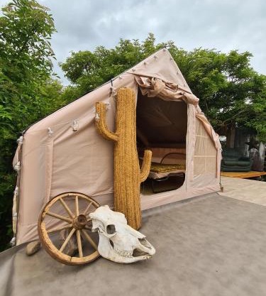 Luxuszelt in der Pferdeherde