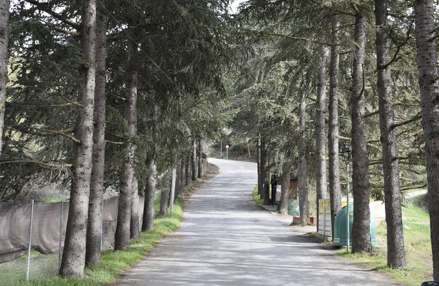 Lya's house, A perfect place for vacations.