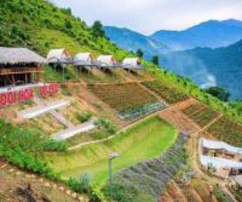 Mây Homestay - Venuestay