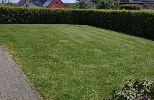 Müller Comfortable holiday residence