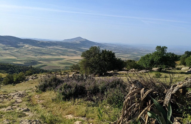 For a better understanding of ecological agriculture.