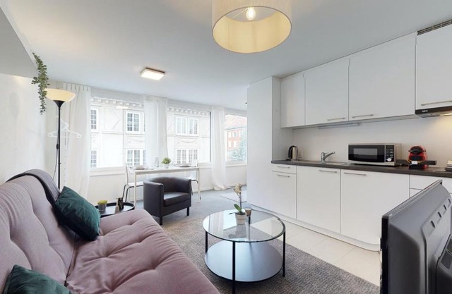 Magnificent modern and bright studio in the city center #3