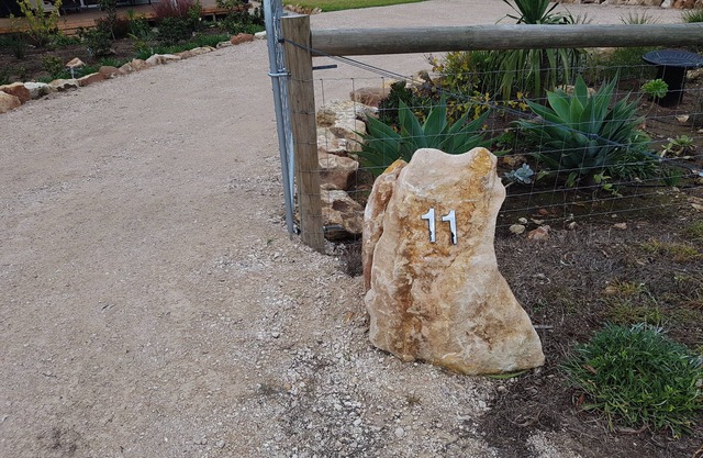 Magnolias at Clayton Bay on the River Murray