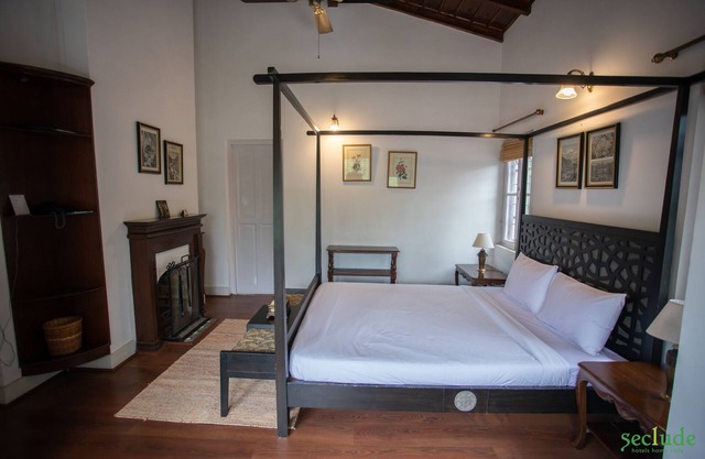 Magpie, Seclude Taradale