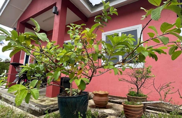 Mahasa Penarik Homestay