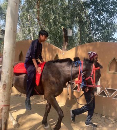 MAI DHANI by NT 3 RESORTS