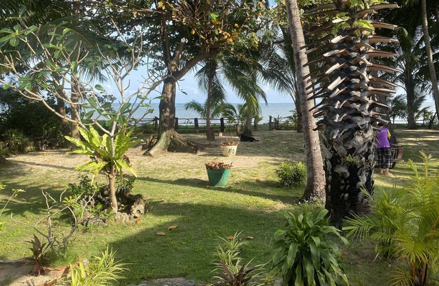 Maison Face a la mer Lamai