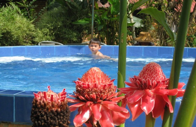 Malee's Nature Lovers Bungalows