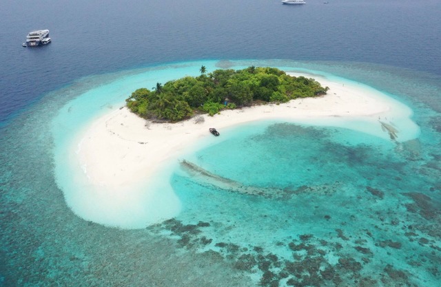 Manta Sea View