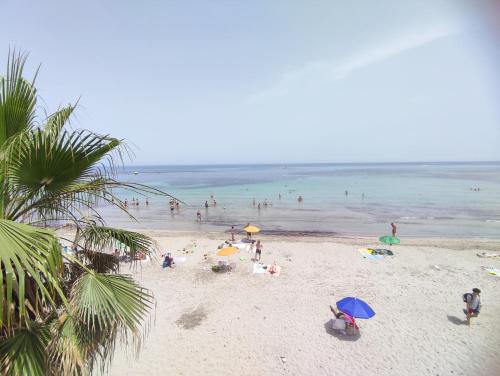 maremura , spiagge e isole a due passi