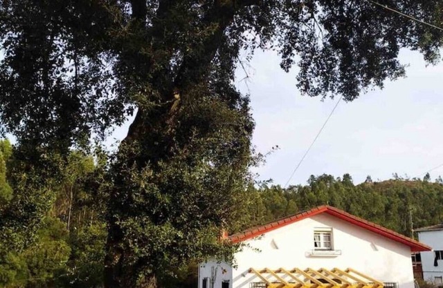 Maria La Franca near Llanes in Asturias