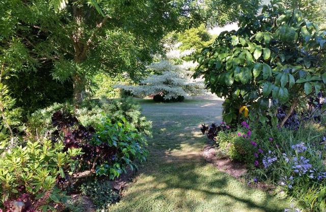 Matai Huka Boutique Accommodation