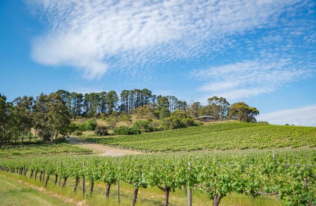 McLaren Vale Getaways