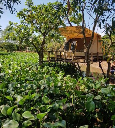 Meeto Camping Hồ Trị An