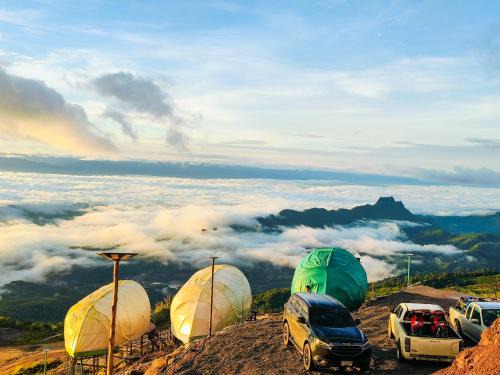 Memory เมมโมรี่ ภูทับเบิก