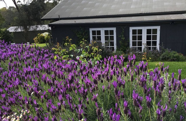 Merricks Cottage - Boutique Accommodation