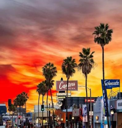 Mid-century Loft Echo Park at Dodger Stadium in Downtown Los Angeles