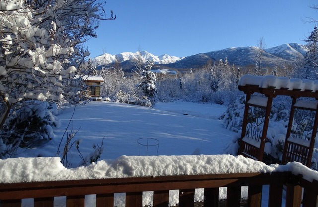 Mink Creek Air BnB 3br Apartment - Alaska Living 20 minutes from Anchorage