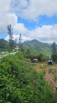 Misty Valley Yogyanta Comforts