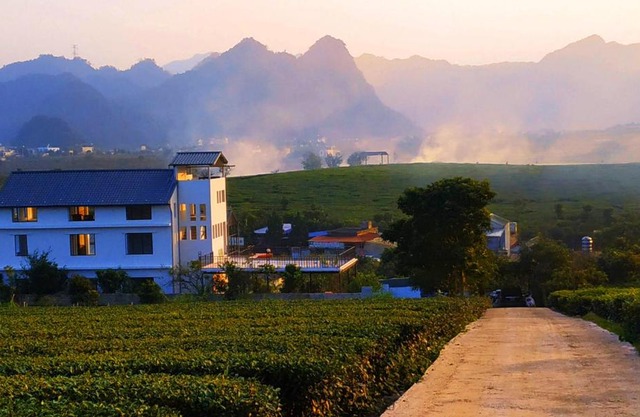 Moc Chau Cottage homestay