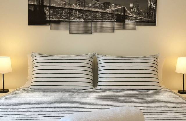Modern 1-bedroom in the heart of New Haven!