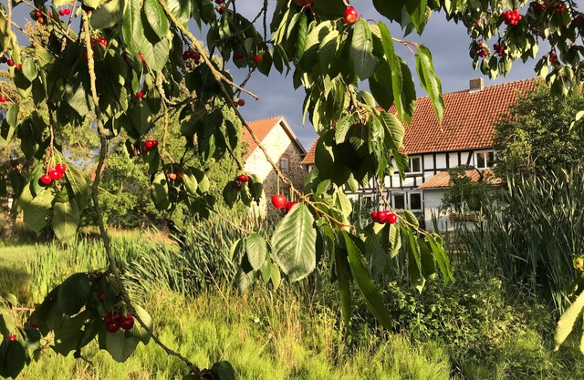 Modern apartment in historic farmhouse
