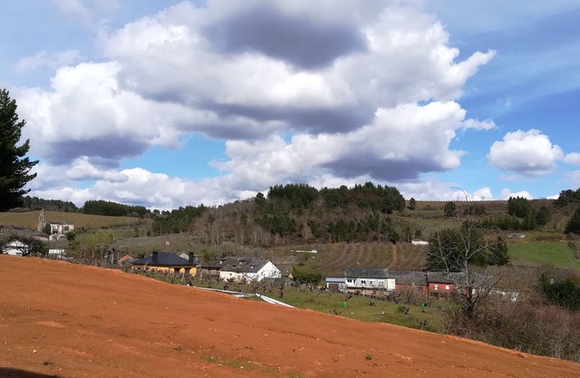 Modern Chalet between vineyards. Pet friendly