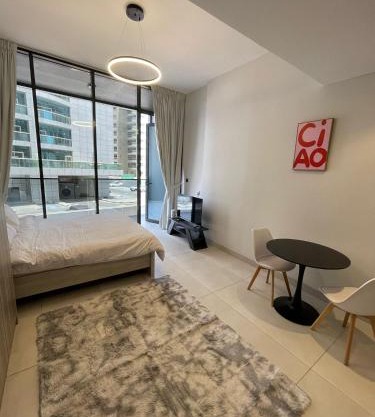 Modern Luxury Apartment