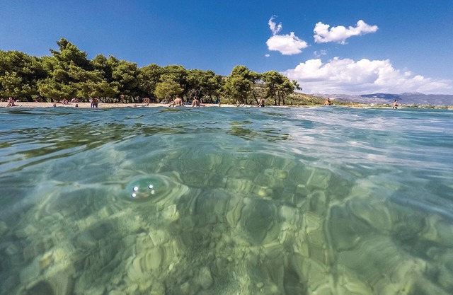 Modern, newly built house in natural environment.