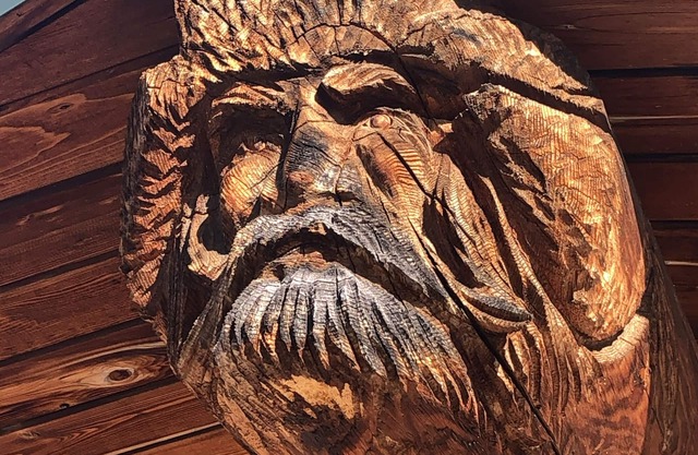 Modern Rustic Cabin with Denali View