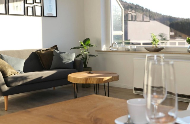 Modern vacation apartment (50 sqm) for up to 3 people with south-facing balcony and view of the Hillebachsee (mountain view)