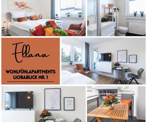 Modernes Apartment Liobablick Nr1 FeWo Fulda Petersberg