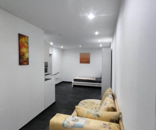 Modernes einzimmer Apartment