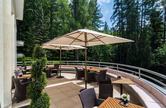 Modrzewie Park Hotel