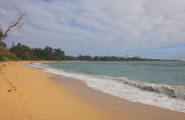 🌺Moku Paradise Hale - Oceanfront