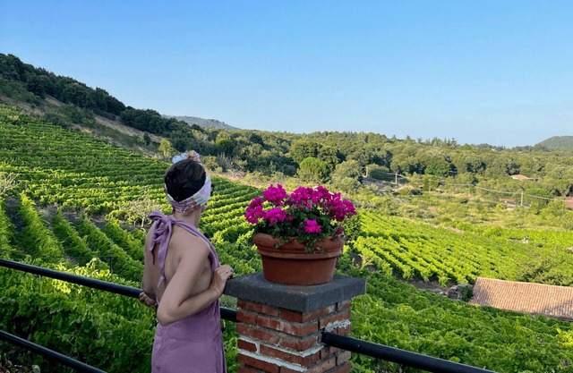 Mondifeso Chalet (Etna+vineyard+jacuzzi)