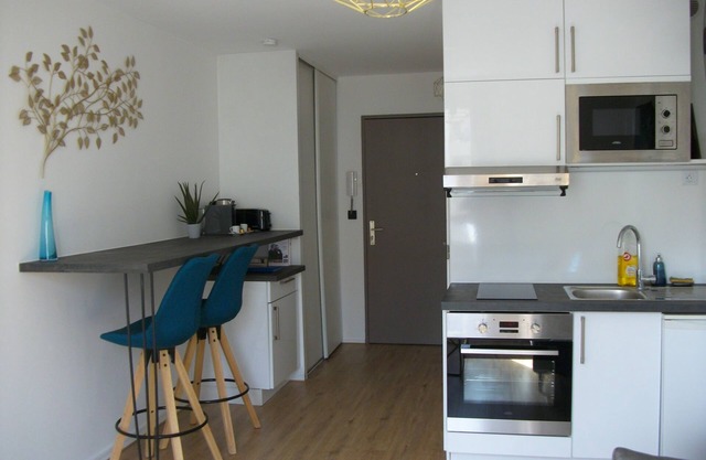 "Monplaisir, center + parking, quiet, clean, wifi, near university, BSB, sciences-U