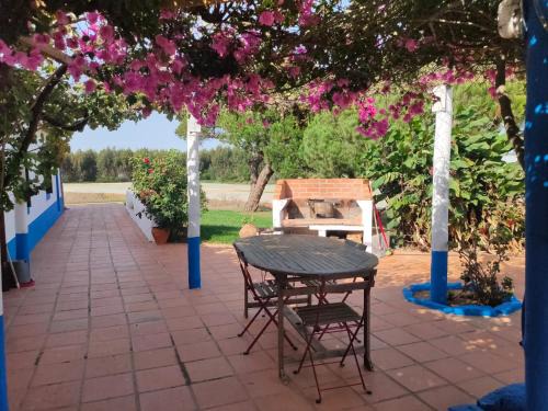 Monte Casa Nova Balsa