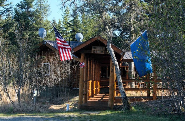 Moose Cabin