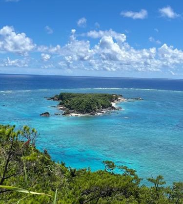 Mori no hoshi - Vacation STAY 65135v