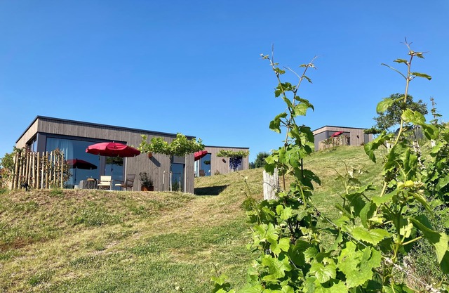 MoselHoch 2 is the middle of three vacation cottages on the edge of the vineyards.