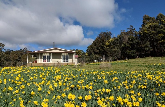 Mountain Blue Guest House