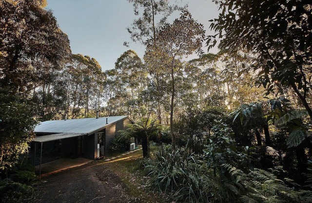 Mountain get-away, nestled in the majestic Mount Toolebewong forest