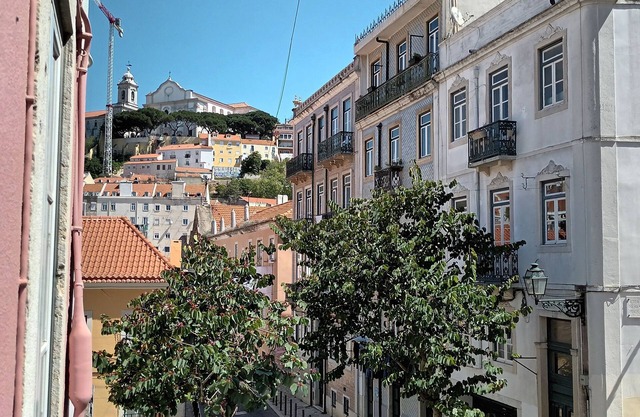 Mouraria Cozy & Charming apartment