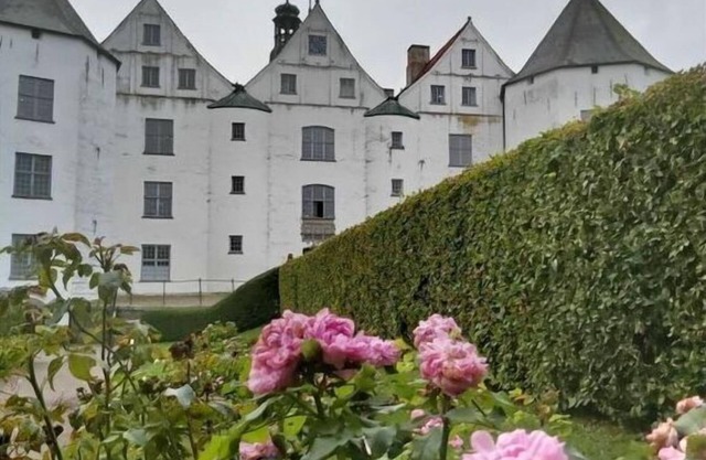 Mr. Hannes Modern retreat