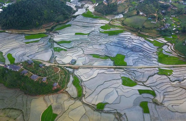 Mu Cang Chai Eco Lodge
