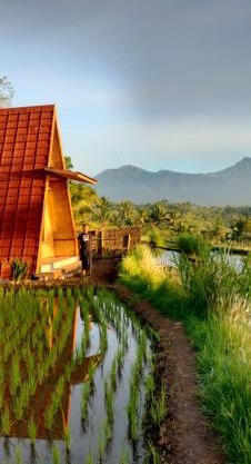 Muni's Terrace Bungalow