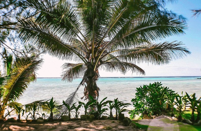 Muri Beach Resort